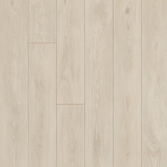 Aristotle - 12mm Plank - AC6
