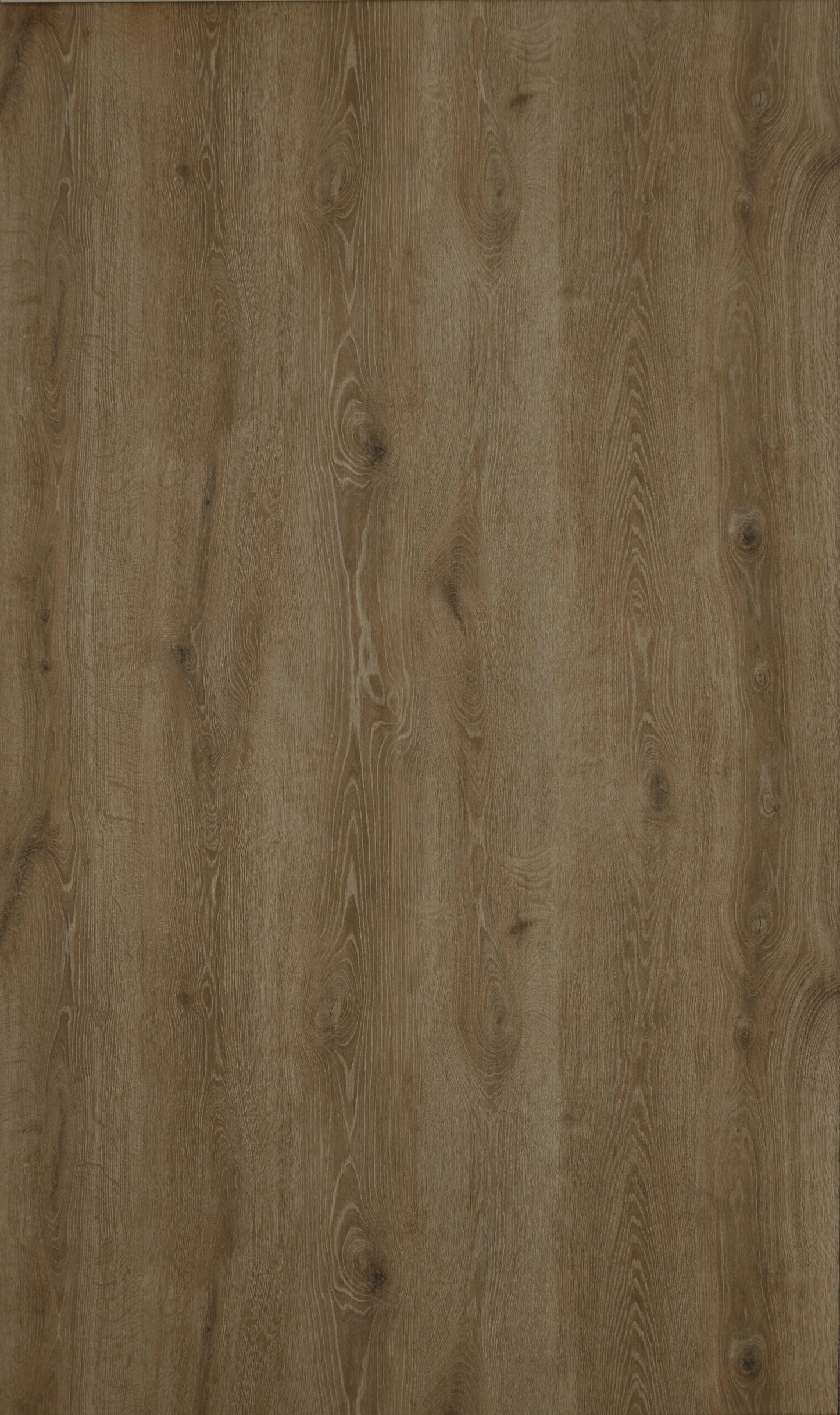 Atlas Bourbon - 8mm Laminate - AC4